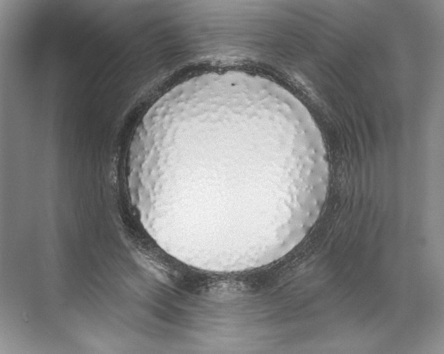 X0000068840543200606021711