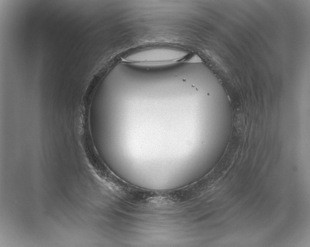 X0000068840544200606021711