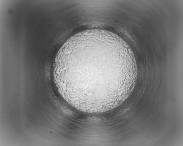 X0000068840545200606021711