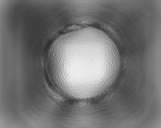 X0000068840546200606021711