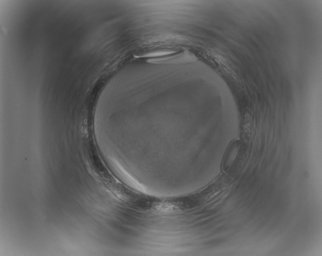 X0000068840547200606021711