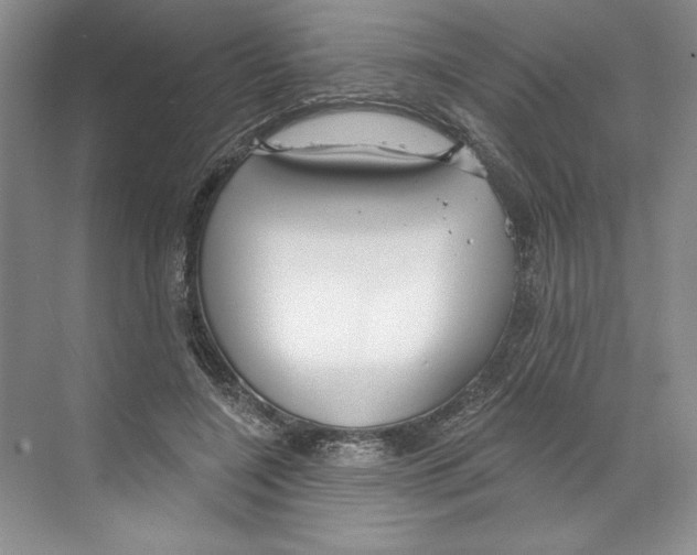 X0000068840548200606021711