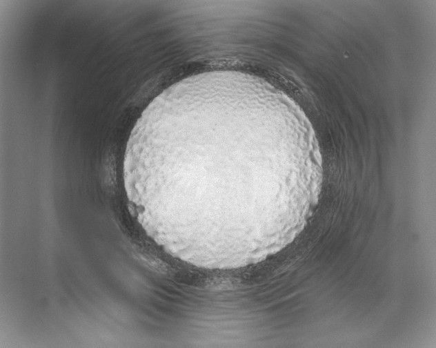 X0000068840549200606021711