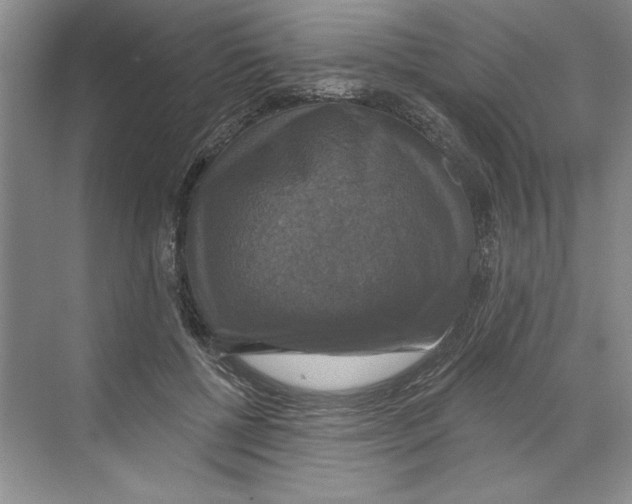 X0000068840552200606021711