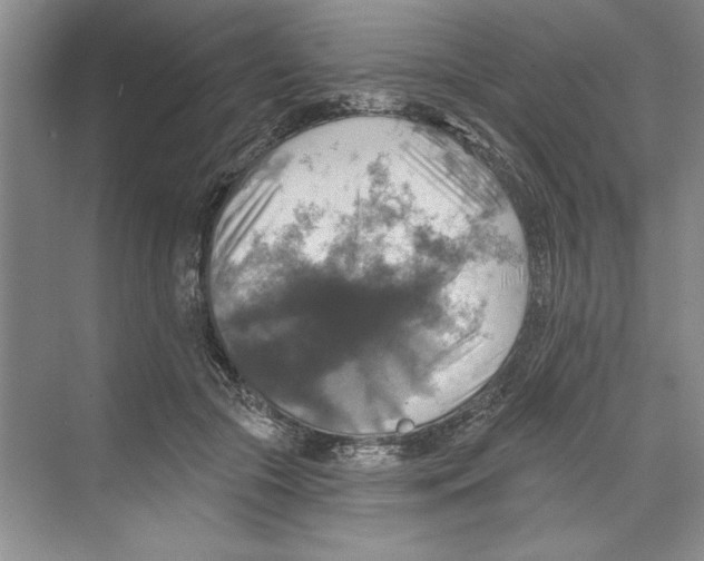 X0000068840553200606021711