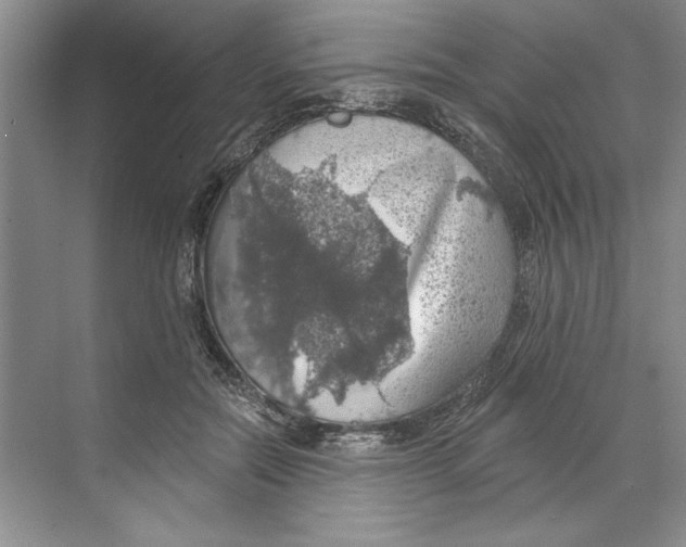 X0000068840554200606021711