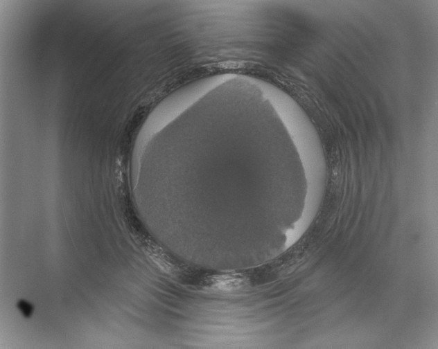 X0000068840555200606021711