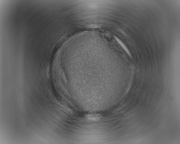 X0000068840556200606021711