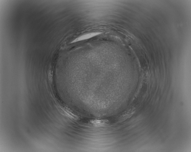 X0000068840558200606021711