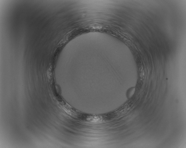 X0000068840559200606021712