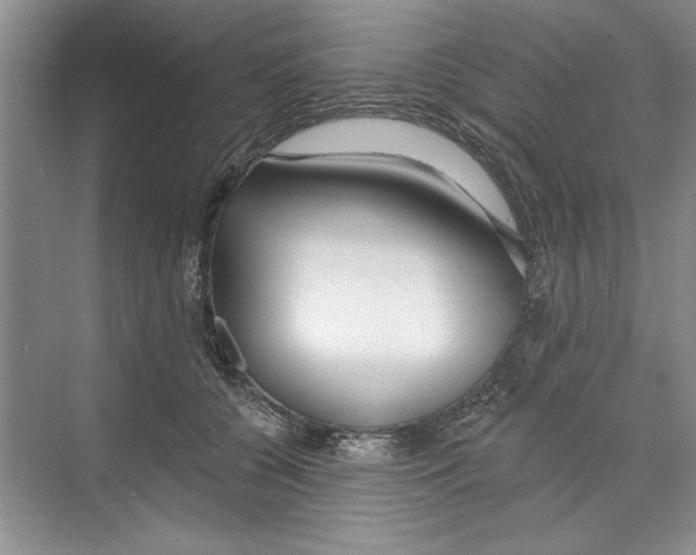 X0000068840560200606021712