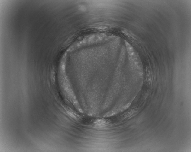 X0000068840562200606021712