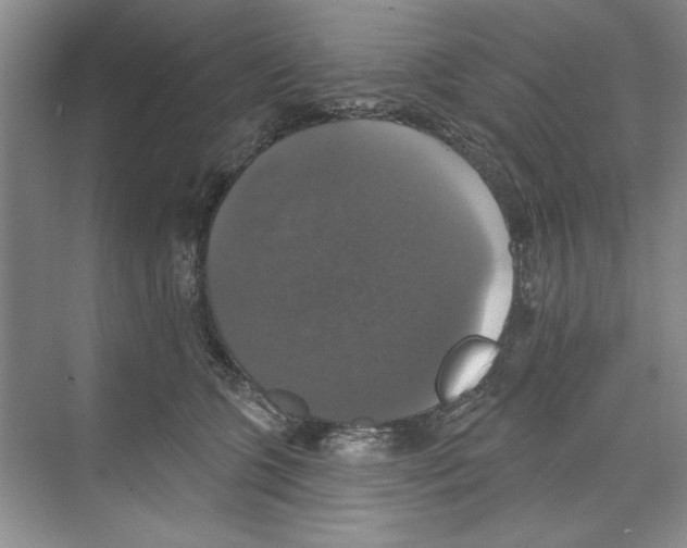 X0000068840563200606021712