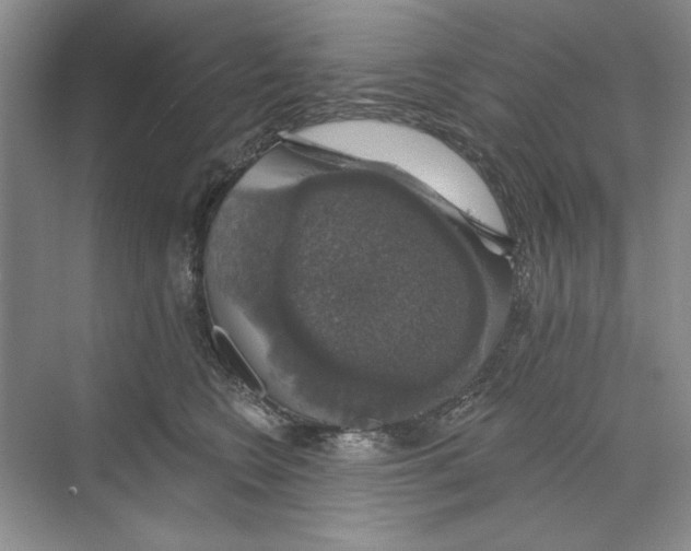 X0000068840566200606021712