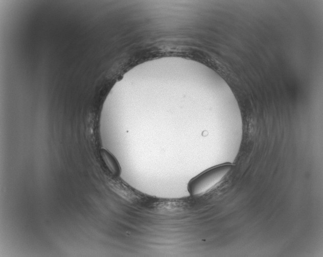 X0000068840567200606021712