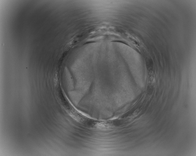 X0000068840568200606021712