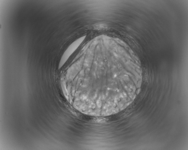 X0000068840569200606021712