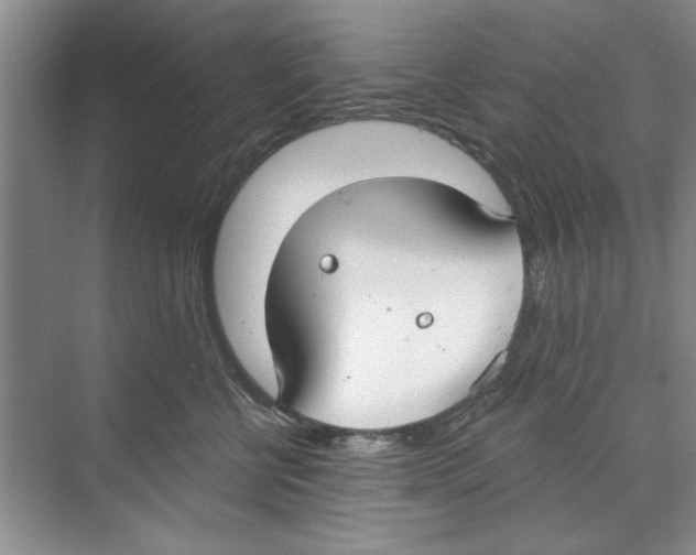 X0000068840570200606021712