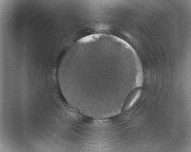 X0000068840571200606021712