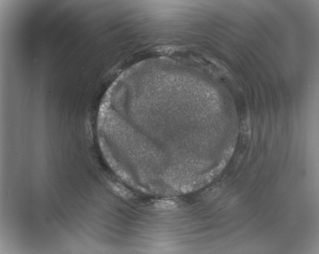 X0000068840572200606021712