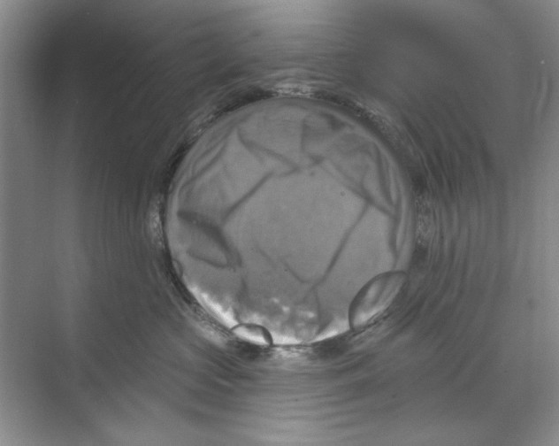 X0000068840573200606021712