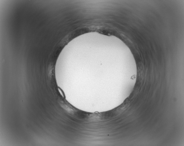 X0000068840574200606021712