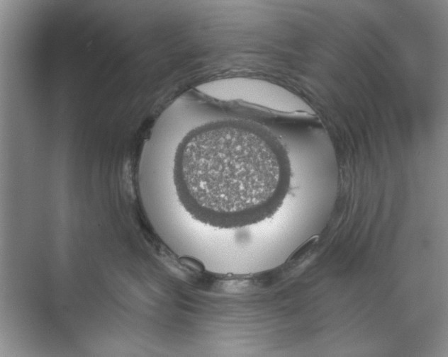 X0000068840575200606021712