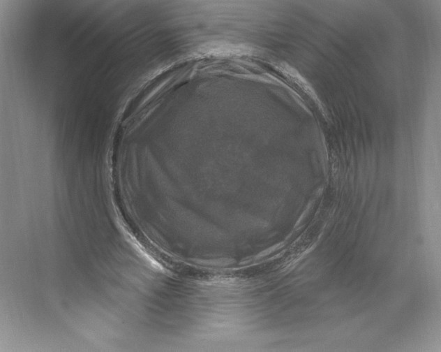 X0000068840581200606021711