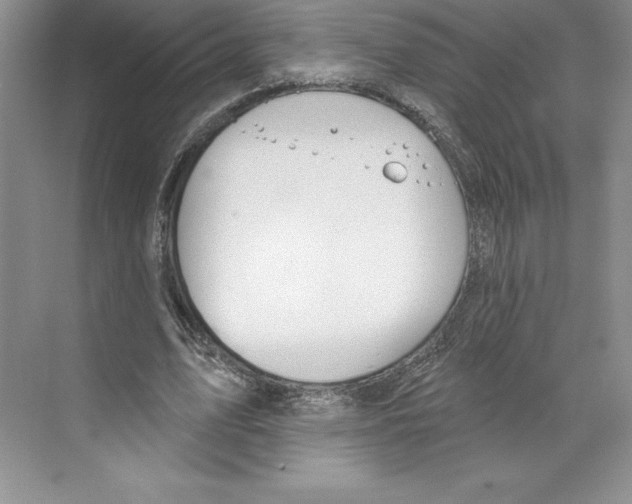 X0000068840583200606021711