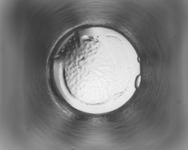 X0000068840584200606021711