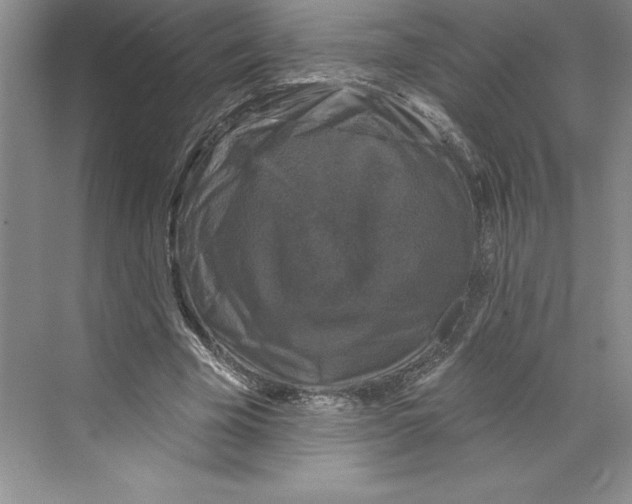 X0000068840585200606021711