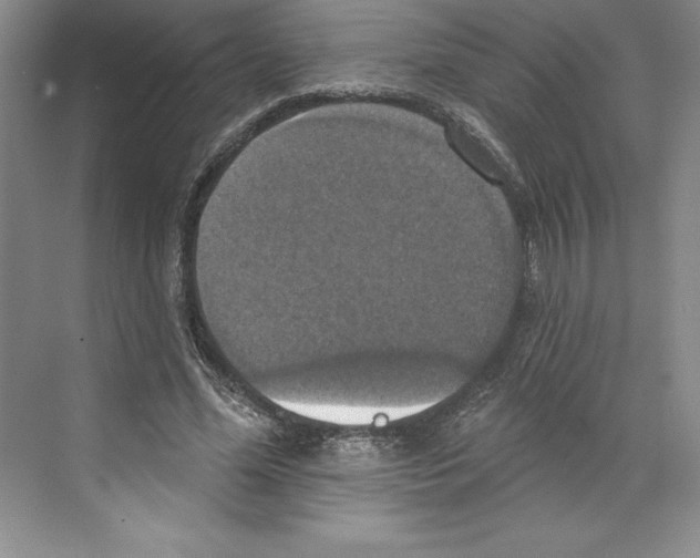 X0000068840588200606021711