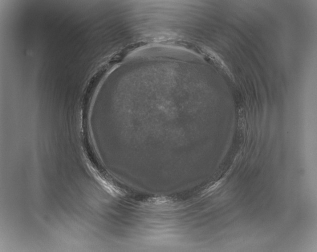 X0000068840589200606021711