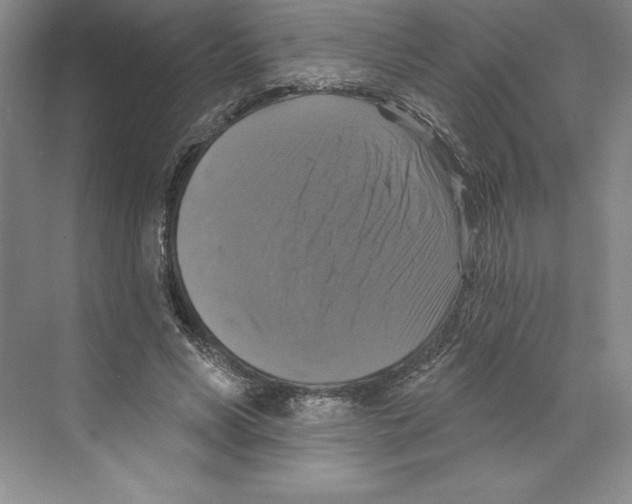 X0000068840590200606021711