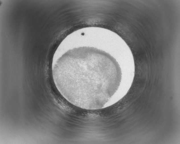 X0000068840592200606021711