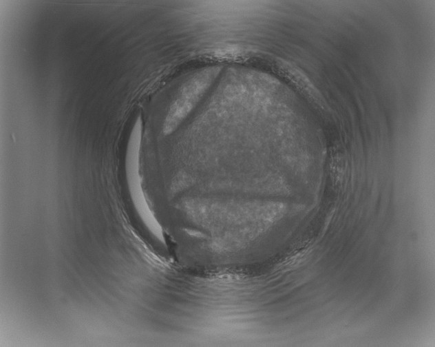 X0000068840593200606021711