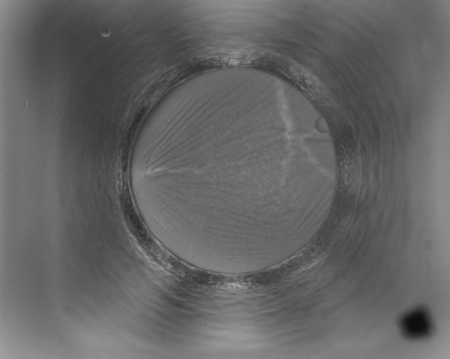 X0000068840594200606021711