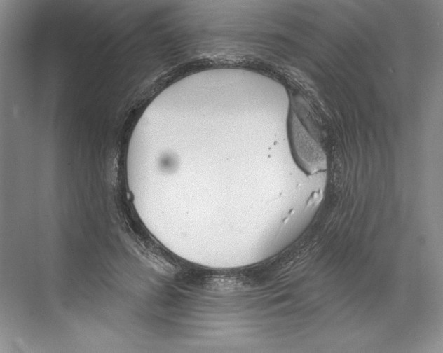 X0000068840596200606021711