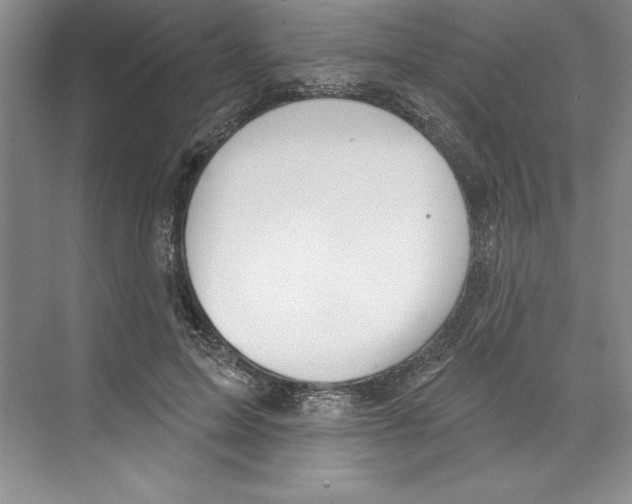 X0000068840599200606021711