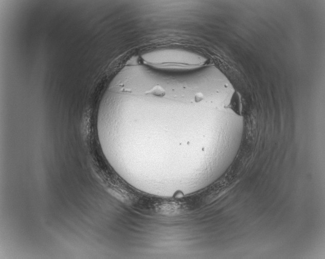 X0000068840600200606021711