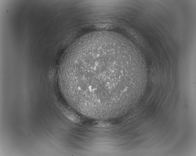 X0000068840601200606021711