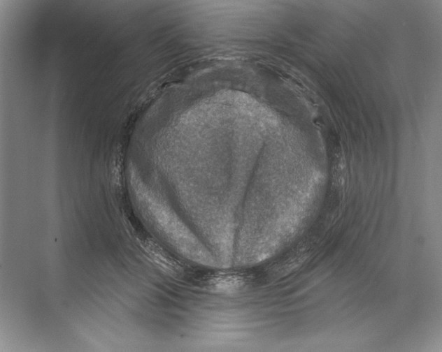 X0000068840604200606021711