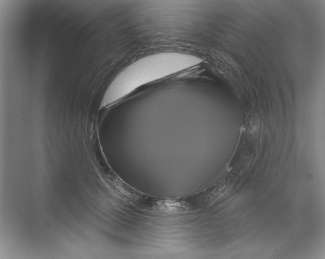 X0000068840607200606021710