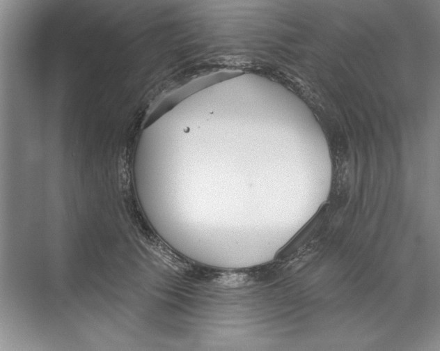 X0000068840609200606021710