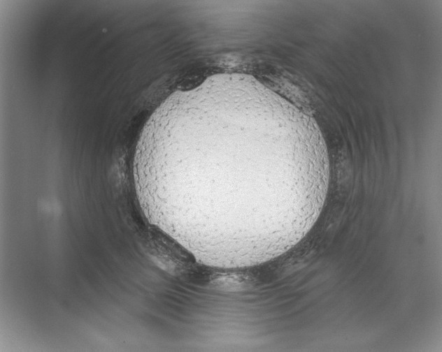 X0000068840611200606021710