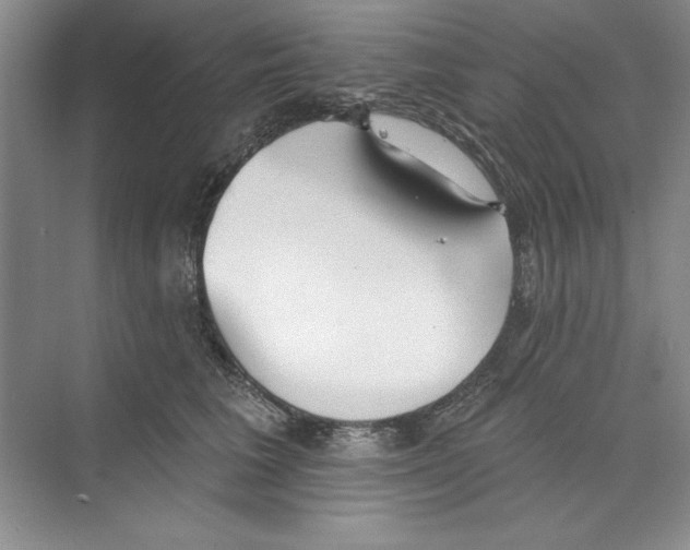 X0000068840613200606021710