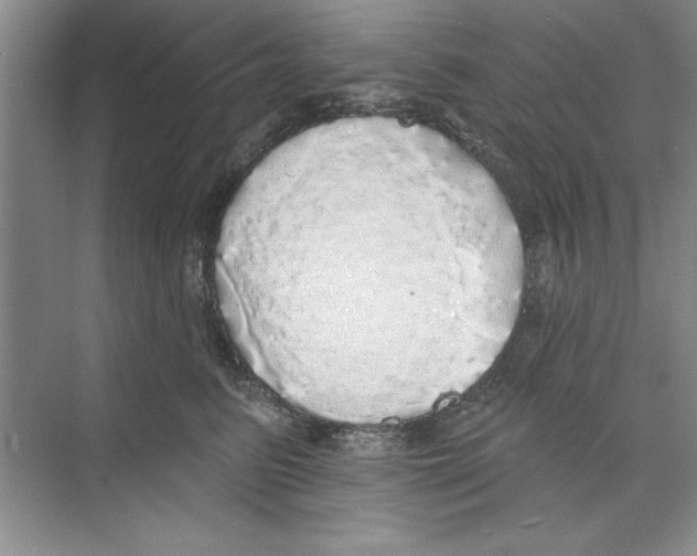 X0000068840615200606021710