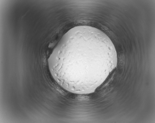 X0000068840617200606021710