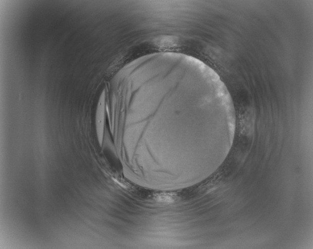 X0000068840618200606021710