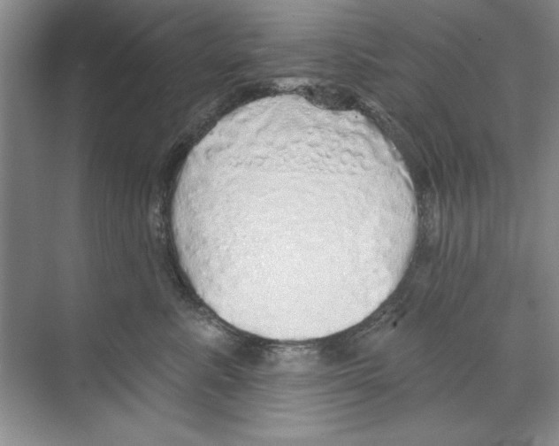 X0000068840619200606021710